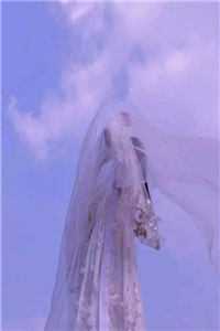 秦见鹿谢梵声：后续+完结免费全本免费在线阅读