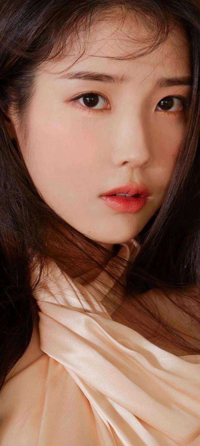 我在回忆里万劫不复秦见鹿：在线谢梵声秦见鹿完结版免费阅读全本在线