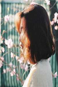 天才儿子陨落后，老婆跪寻父子火葬场白月光王晨完结版在线阅读有声小说