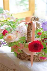 四海八荒苦封喉,君心似毒酒:精品小说玄澈洛虞已完结小说最新章节免费在线阅读