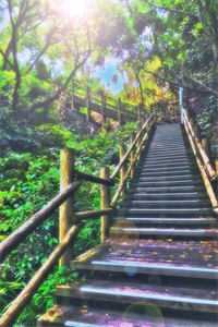 穿越：老太的心机你别猜祁红豆赵爱民免费阅读笔趣阁txt