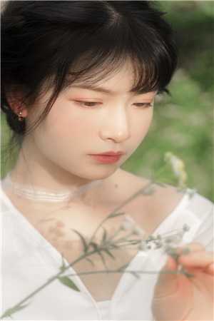 旧梦不曾温：全部目录顾南乔纪时晏完整版免费阅读全章节在线