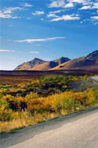 重生后，我的魅力怎么一路狂飙南川宁风笙全集在线阅读完整版txt在线阅读