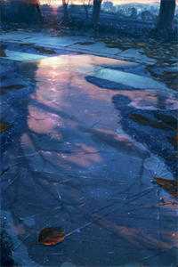 你是我未拆的遗书桑年裴谨言全本阅读百度云下载txt