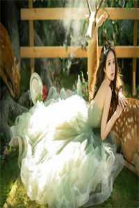 出狱后，我仇恨值加倍张磊叶清韵完结版阅读完结版全本小说在线阅读