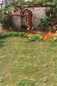 谁懂！我被年下男强取豪夺了虞恩秦牧琛的小说完结版免费阅读