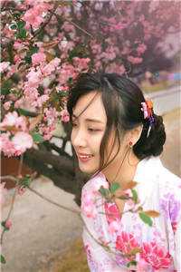 不再对妻子百依百顺，我爽了苏桃淮序最新章节免费阅读