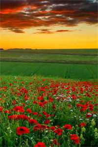 多年后的重逢，不约，姐有男友傅璟忱禾念安全章节阅读,全文免费在线阅读