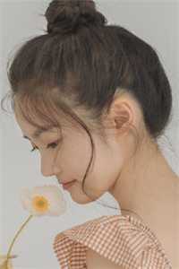 沈渊棠梨小说免费小说全集大结局阅读完整版txt在线阅读