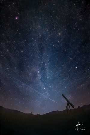 神女老婆，却在背地承欢作乐傅雅宁顾尘全文免费阅读完结版阅读