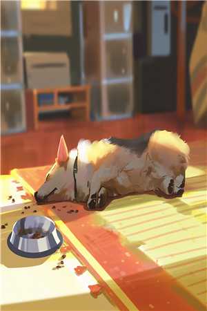 不属于海的风：+全文+后续唐栖雾靳沉野全章节在线阅读有声小说