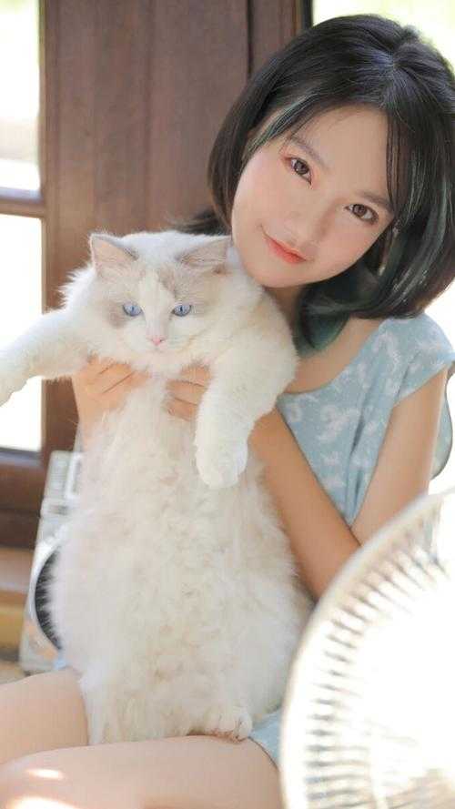 二嫁后，我的新任夫君有秘密林月鸣江升免费小说在线阅读全集完结版免费阅读