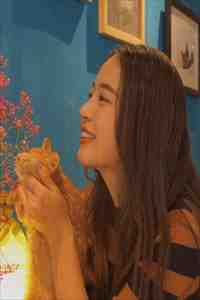 豪门阔少贪恋继妹，我死后他跪在太平间求我睁眼顾晚星裴言默最新章节免费在线阅读