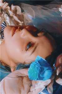 久别重逢：冷面教官红温了傅初安沈南雾小说在线免费阅读无广告