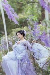 丞相府欺负?摄政王咬他们!沈归雁宋侍完整版免费阅读全章节在线