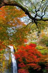 流光错系断蓬之舟沈煜：结局+番外最新章节列表_流光错系断蓬之舟沈煜：结局+番外流光错系断蓬之舟沈煜：结局+番外在线阅读在线最新全文阅读下载最新章节列表笔趣阁