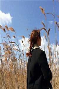 好孕喜女重生嫁太子，把渣世子送进大内做太监江云州顾兮月免费完本小说在线阅读