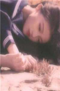 官场孽缘完整作品阅读