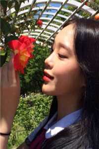 半路夫妻难白头傅嘉安温惜霜抖音小说全章节阅读完结版免费阅读